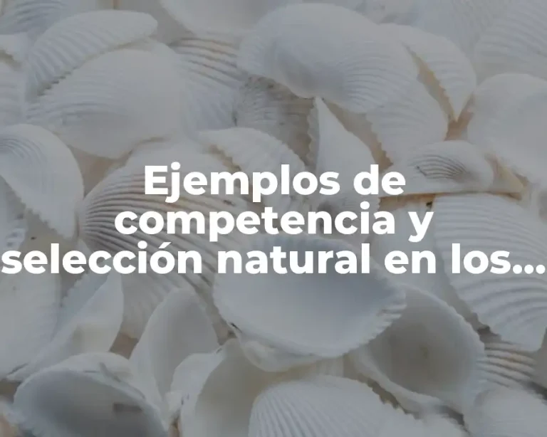 Ejemplos de competencia y selección natural en los animales