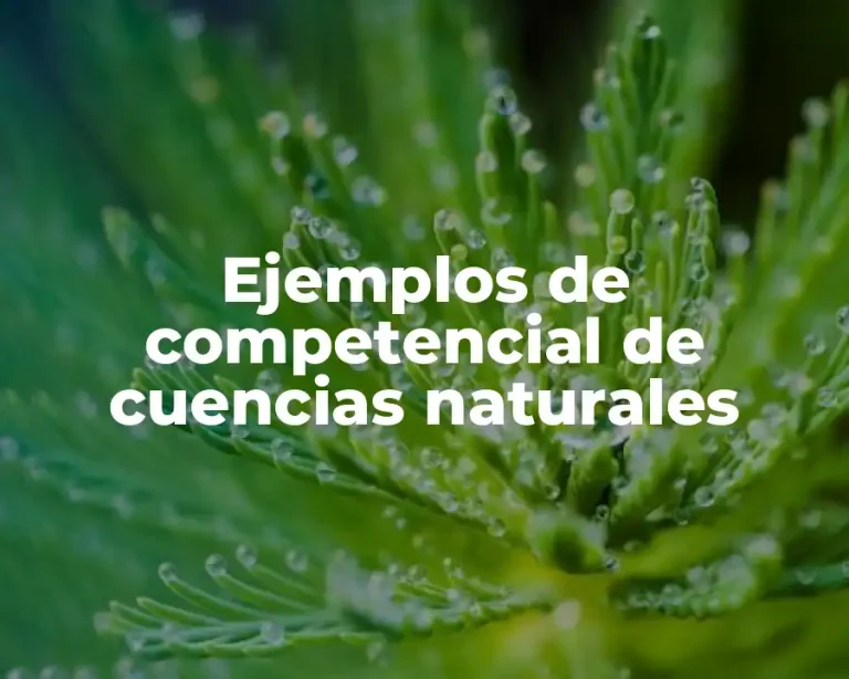Ejemplos de competencial de cuencias naturales