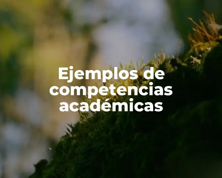 Ejemplos de competencias académicas