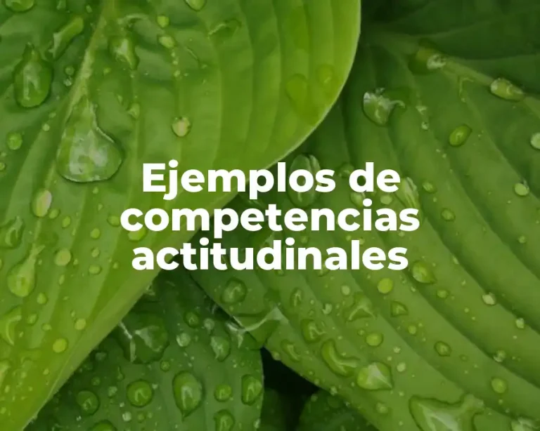 Ejemplos de competencias actitudinales