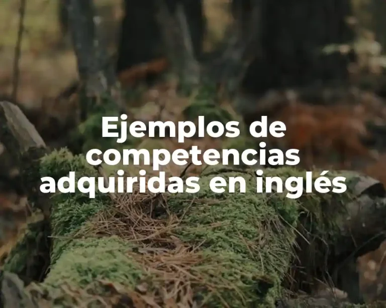Ejemplos de competencias adquiridas en inglés