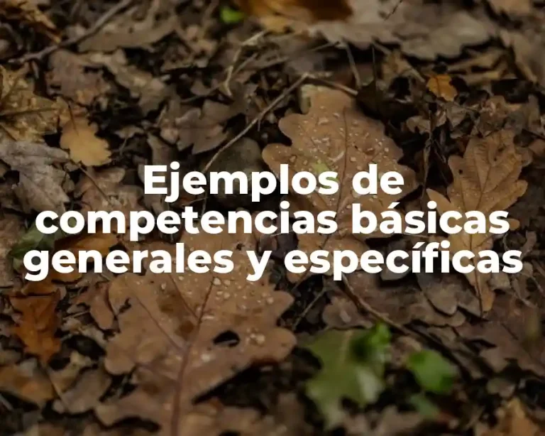 Ejemplos de competencias básicas generales y específicas
