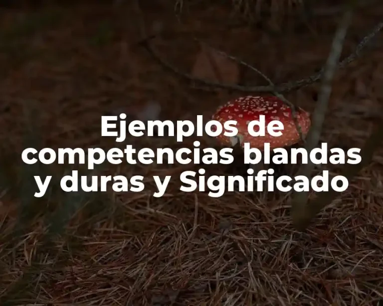 Ejemplos de competencias blandas y duras y Significado