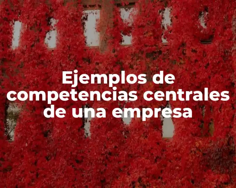Ejemplos de competencias centrales de una empresa