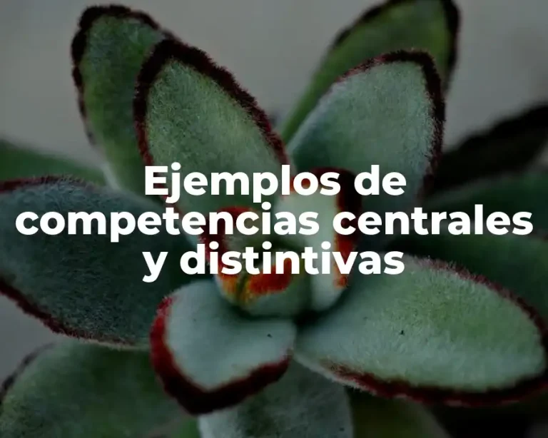 Ejemplos de competencias centrales y distintivas