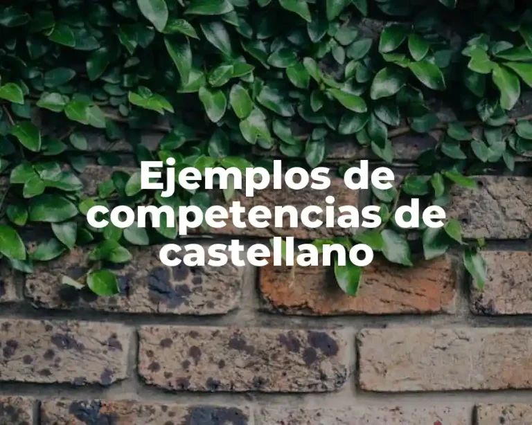 Ejemplos de competencias de castellano