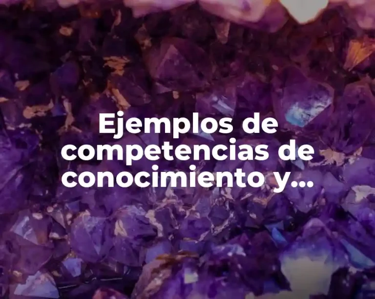 Ejemplos de competencias de conocimiento y Significado
