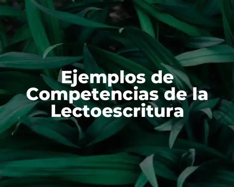 Ejemplos de Competencias de la Lectoescritura