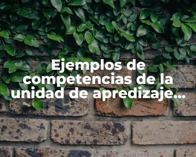 Ejemplos de competencias de la unidad de apredizaje sobre motivación
