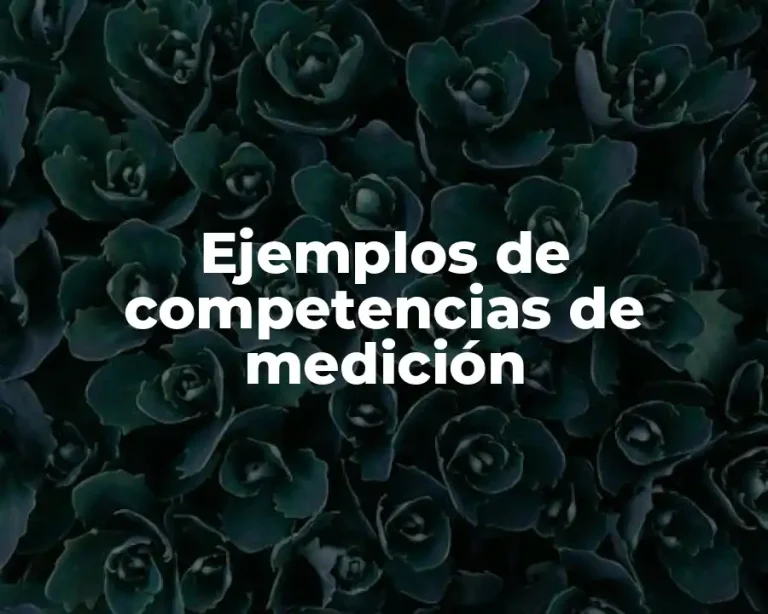 Ejemplos de competencias de medición