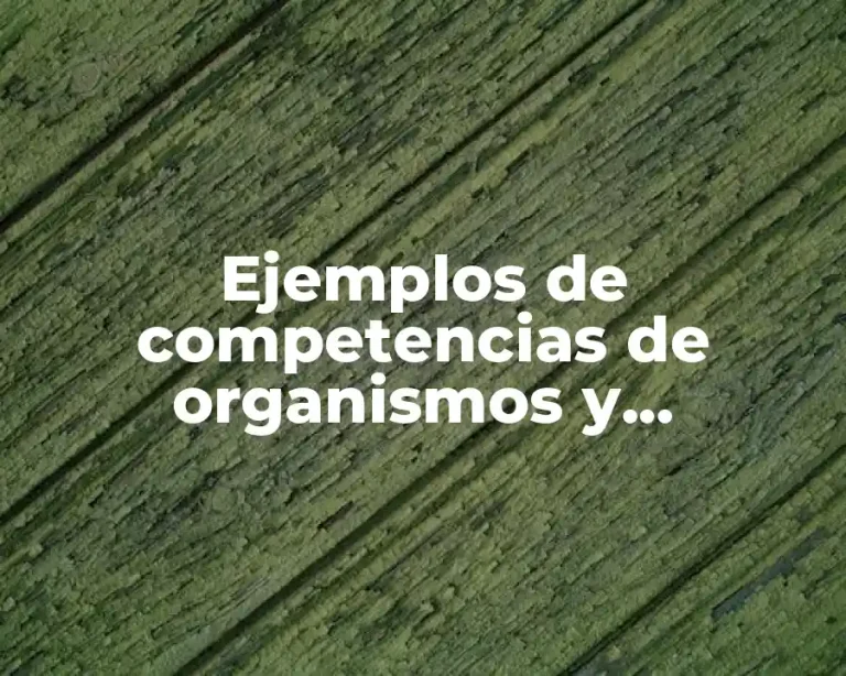 Ejemplos de competencias de organismos y Significado