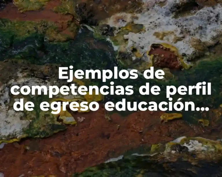 Ejemplos de competencias de perfil de egreso educación secundaria y Significado