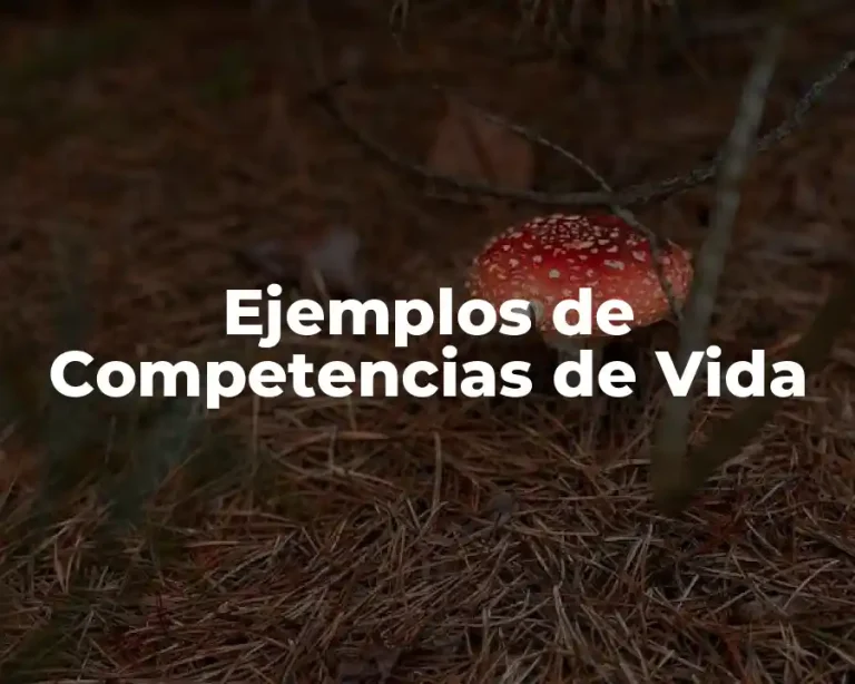 Ejemplos de Competencias de Vida