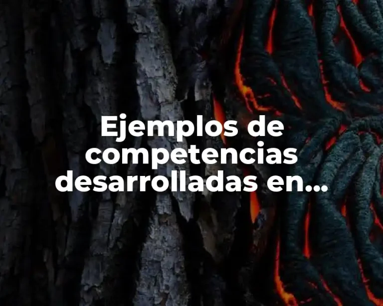 Ejemplos de competencias desarrolladas en residencias profesionales