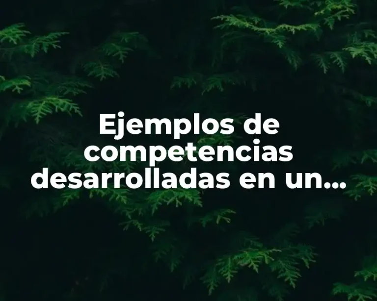 Ejemplos de competencias desarrolladas en un proyecto