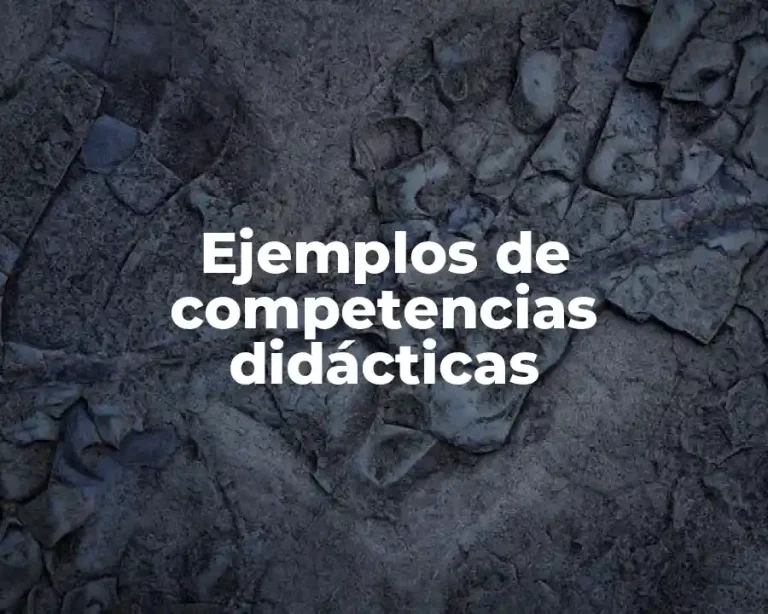 Ejemplos de competencias didácticas