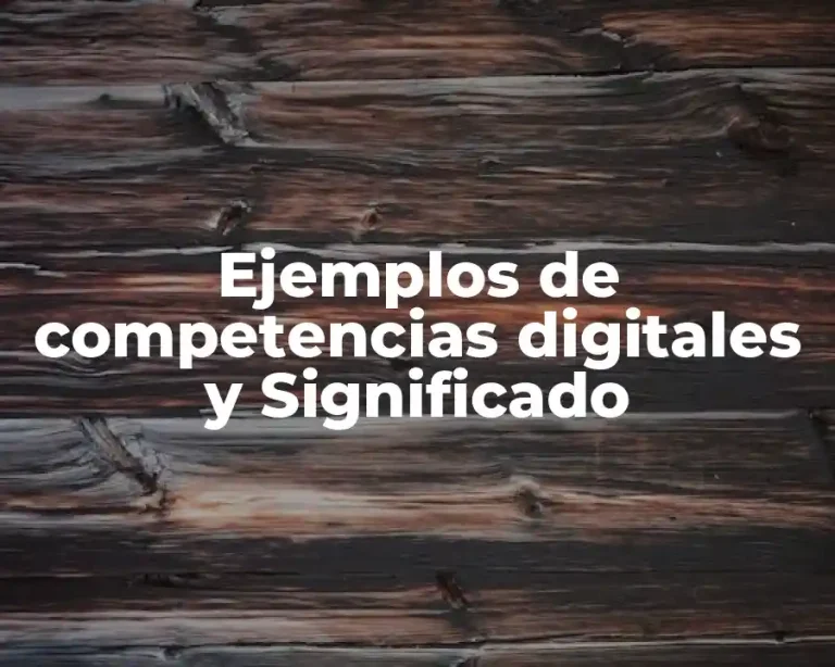 Ejemplos de competencias digitales y Significado
