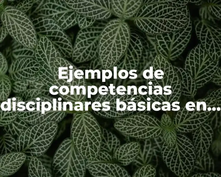 Ejemplos de competencias disciplinares básicas en ciencias sociales