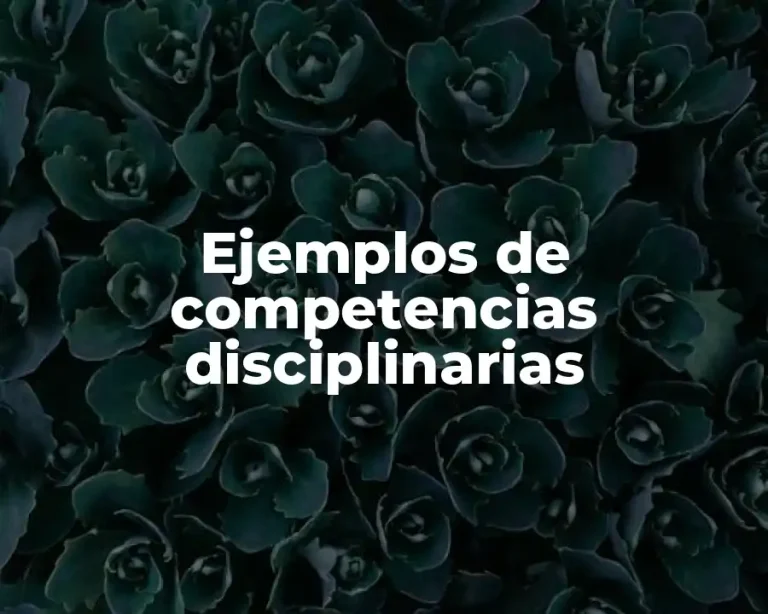 Ejemplos de competencias disciplinarias