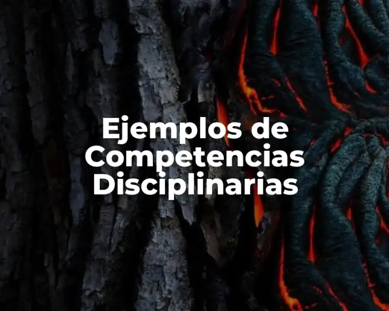 Ejemplos de Competencias Disciplinarias