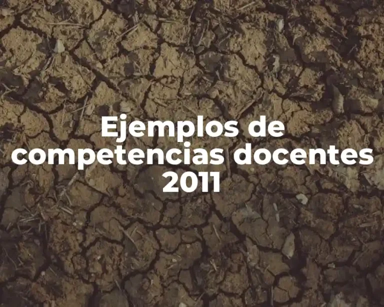 Ejemplos de competencias docentes 2011