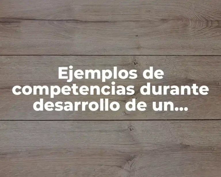 Ejemplos de competencias durante desarrollo de un sistema