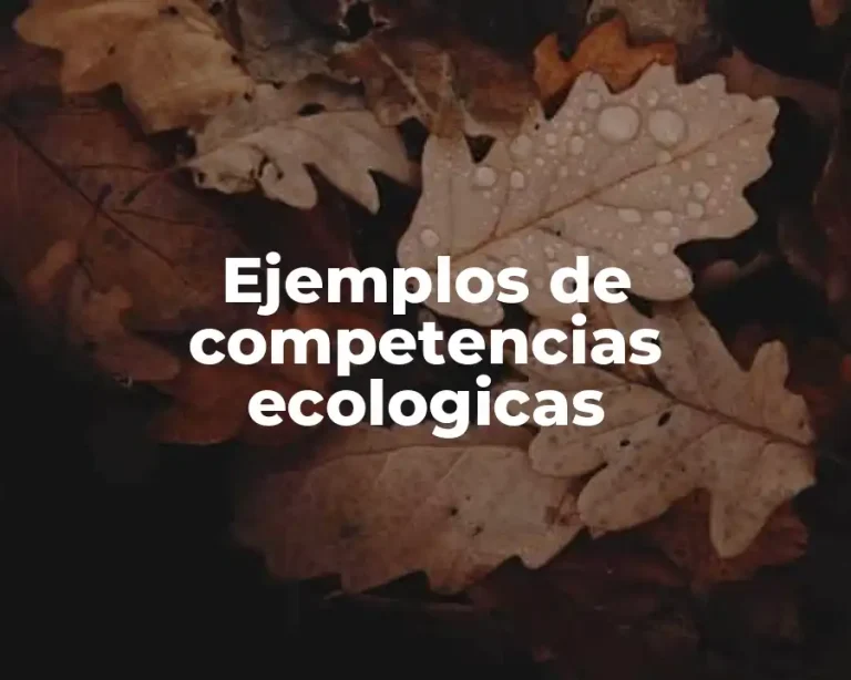 Ejemplos de competencias ecologicas