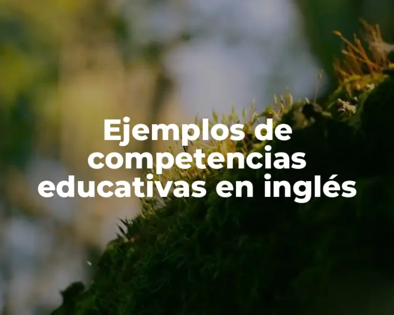 Ejemplos de competencias educativas en inglés