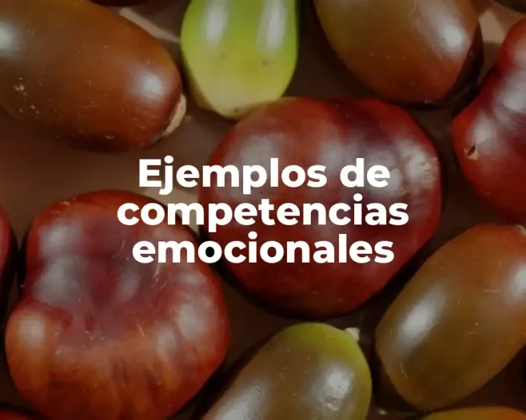 Ejemplos de competencias emocionales