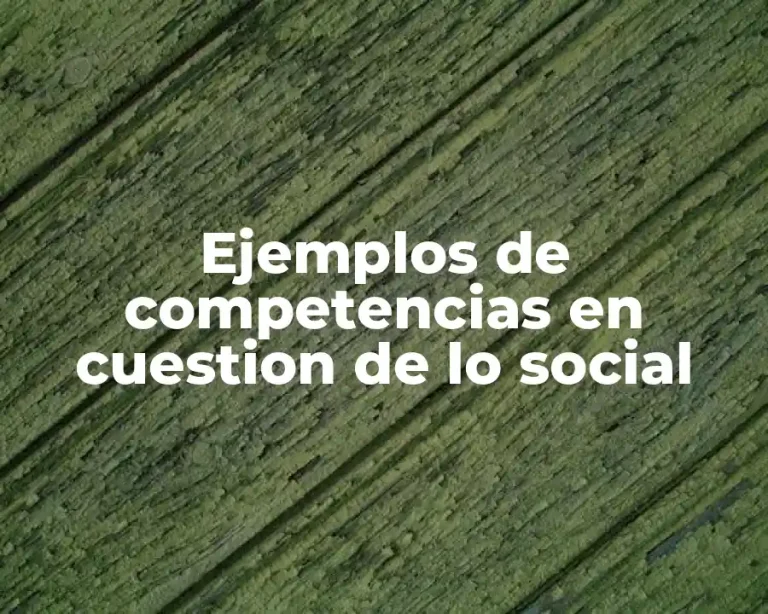 Ejemplos de competencias en cuestion de lo social