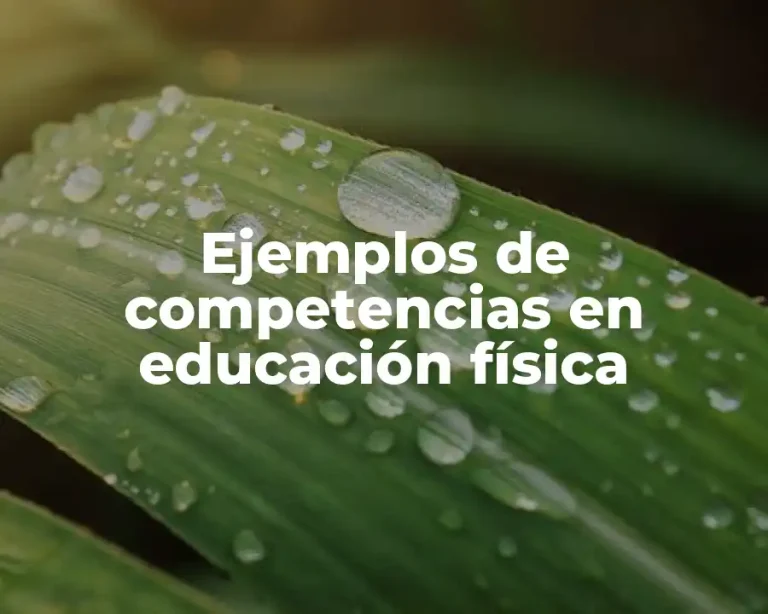 Ejemplos de competencias en educación física