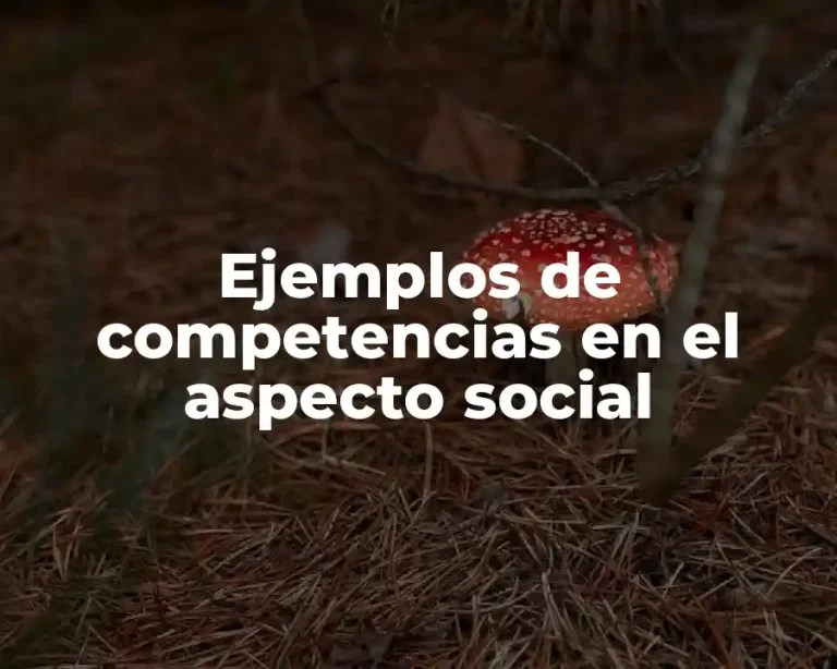 Ejemplos de competencias en el aspecto social