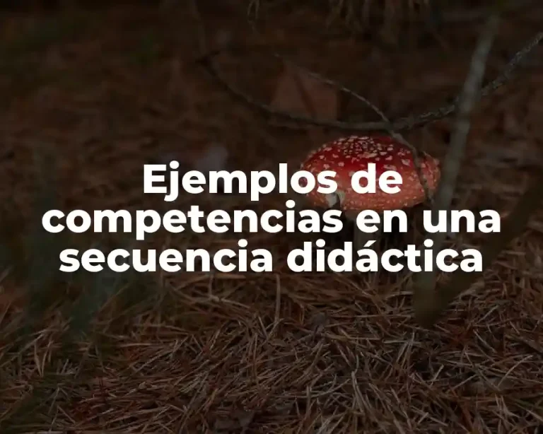 Ejemplos de competencias en una secuencia didáctica