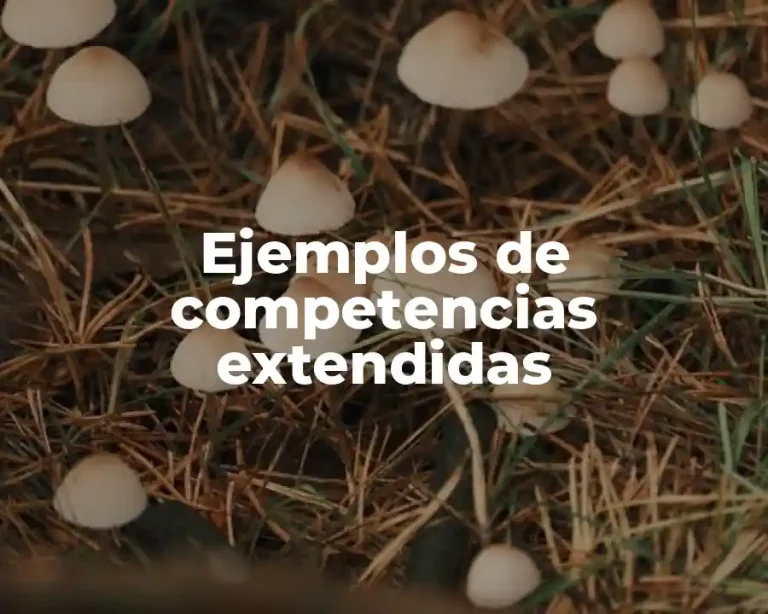 Ejemplos de competencias extendidas