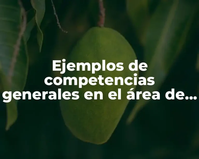 Ejemplos de competencias generales en el área de tiempos estandarizados