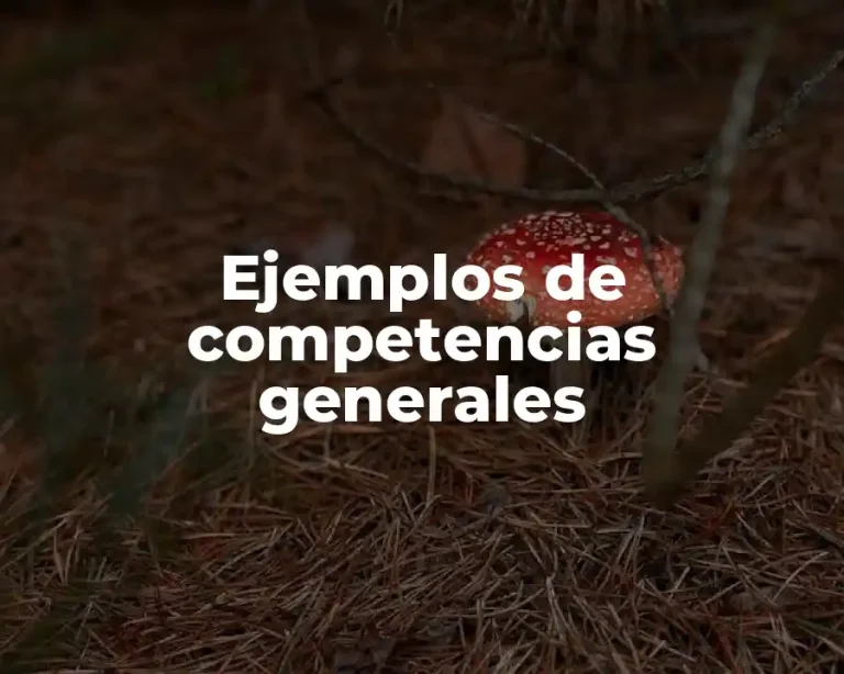 Ejemplos de competencias generales