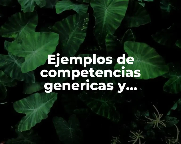 Ejemplos de competencias genericas y disciplinares en materia de
