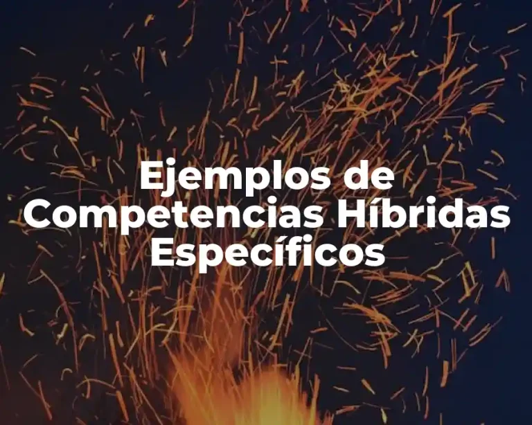Ejemplos de Competencias Híbridas Específicos
