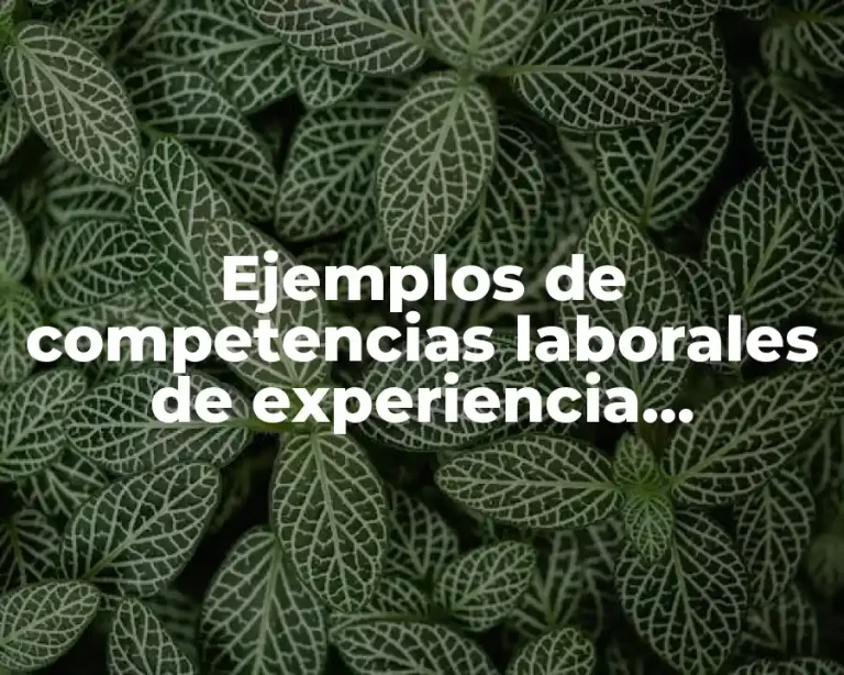 Ejemplos de competencias laborales de experiencia profesional en psicología y Significado