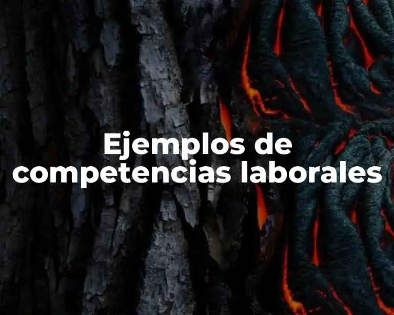 Ejemplos de competencias laborales