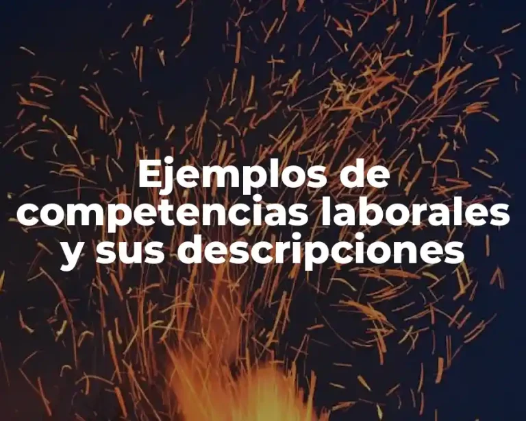 Ejemplos de competencias laborales y sus descripciones