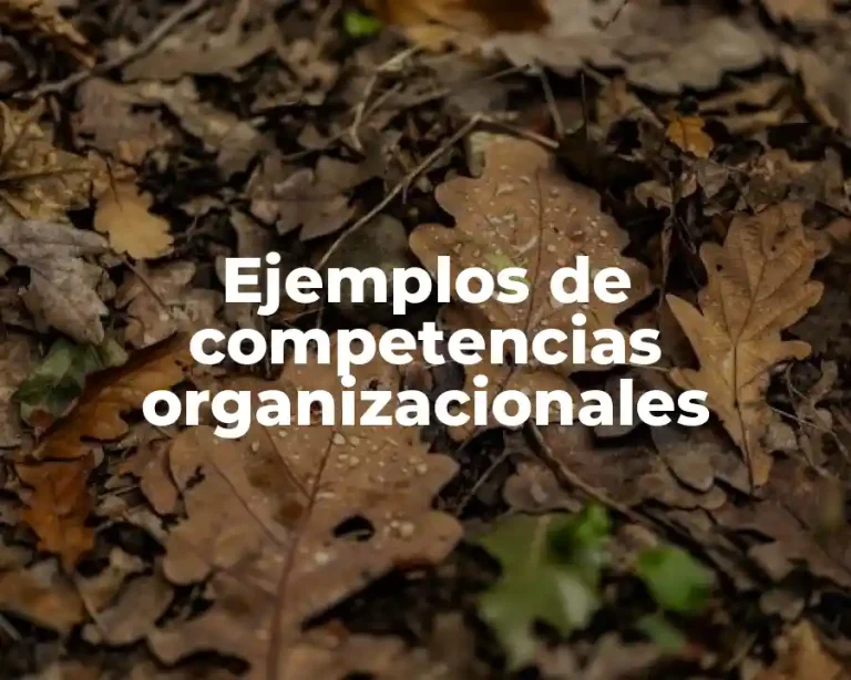 Ejemplos de competencias organizacionales