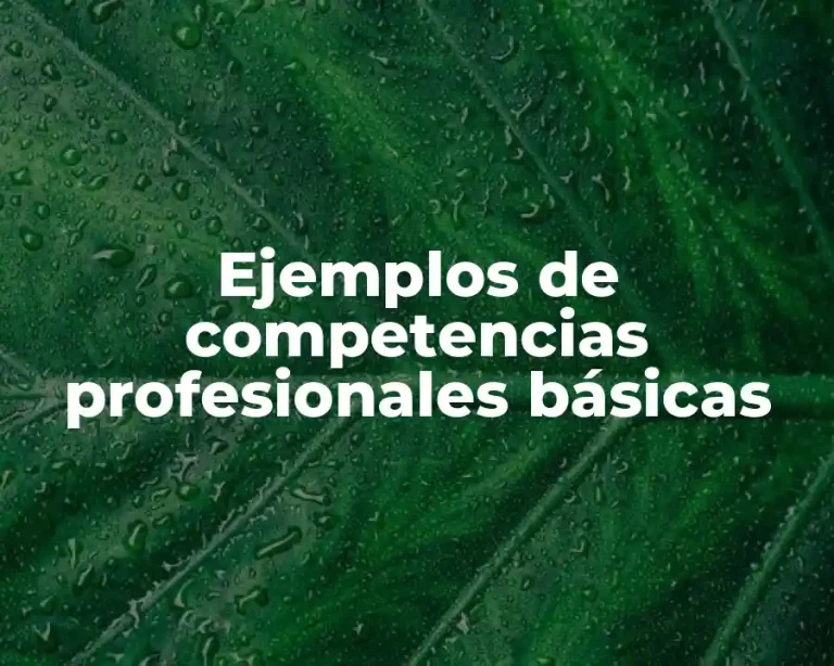 Ejemplos de competencias profesionales básicas