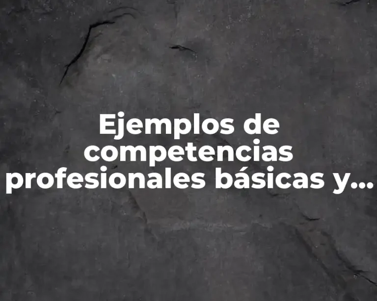 Ejemplos de competencias profesionales básicas y específicas