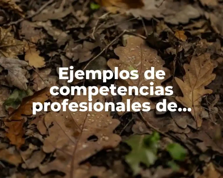 Ejemplos de competencias profesionales de aprendizaje