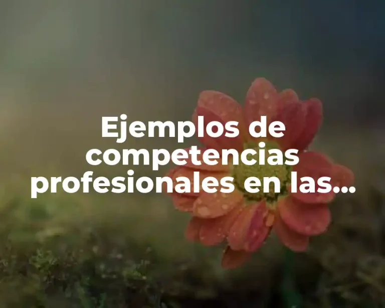 Ejemplos de competencias profesionales en las organizaciones y Significado