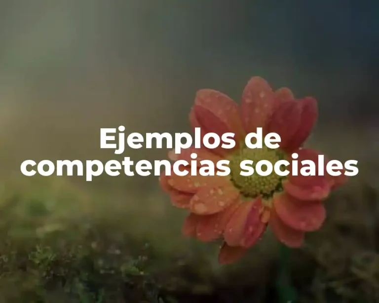 Ejemplos de competencias sociales