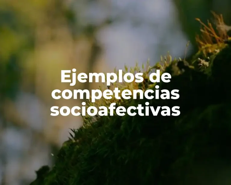 Ejemplos de competencias socioafectivas