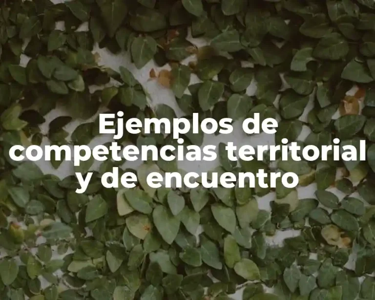 Ejemplos de competencias territorial y de encuentro