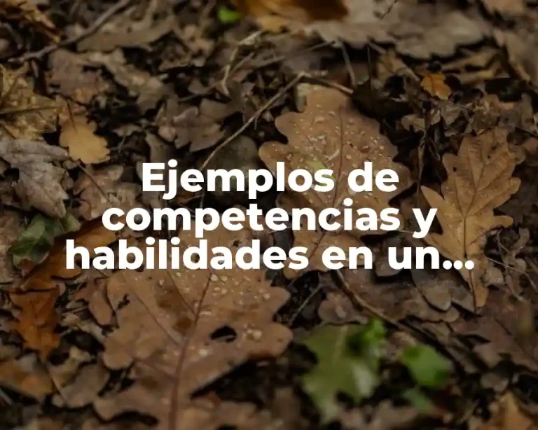 Ejemplos de competencias y habilidades en un curriculum